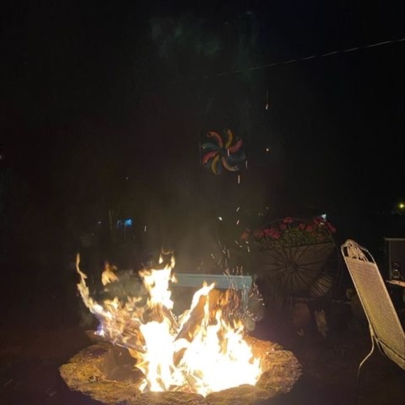 Meet your Posher, Joellynn - Picture 1 of 1